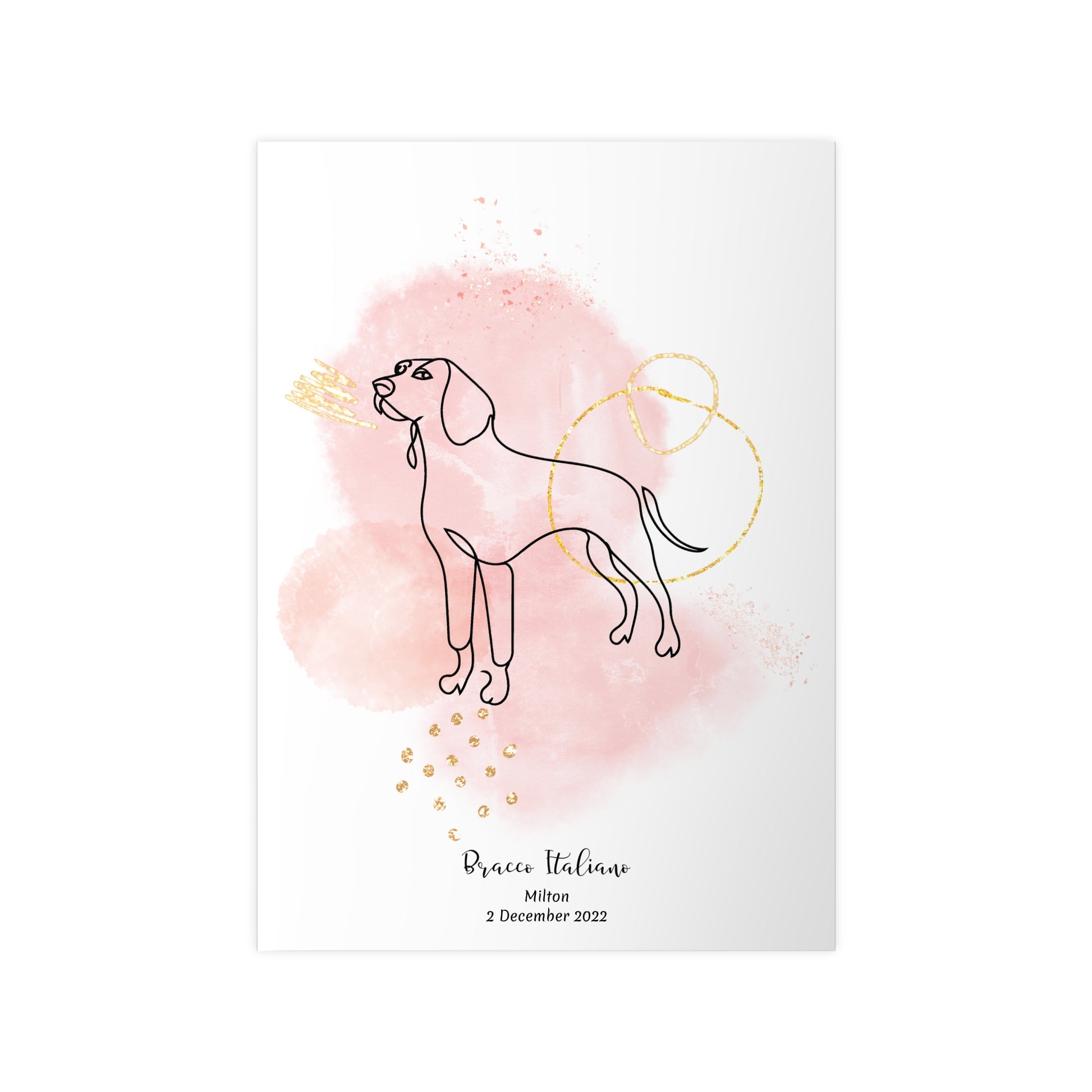 Minimalistisk rosa poster med Bracco Italiano, personlig design från Colorful Pets