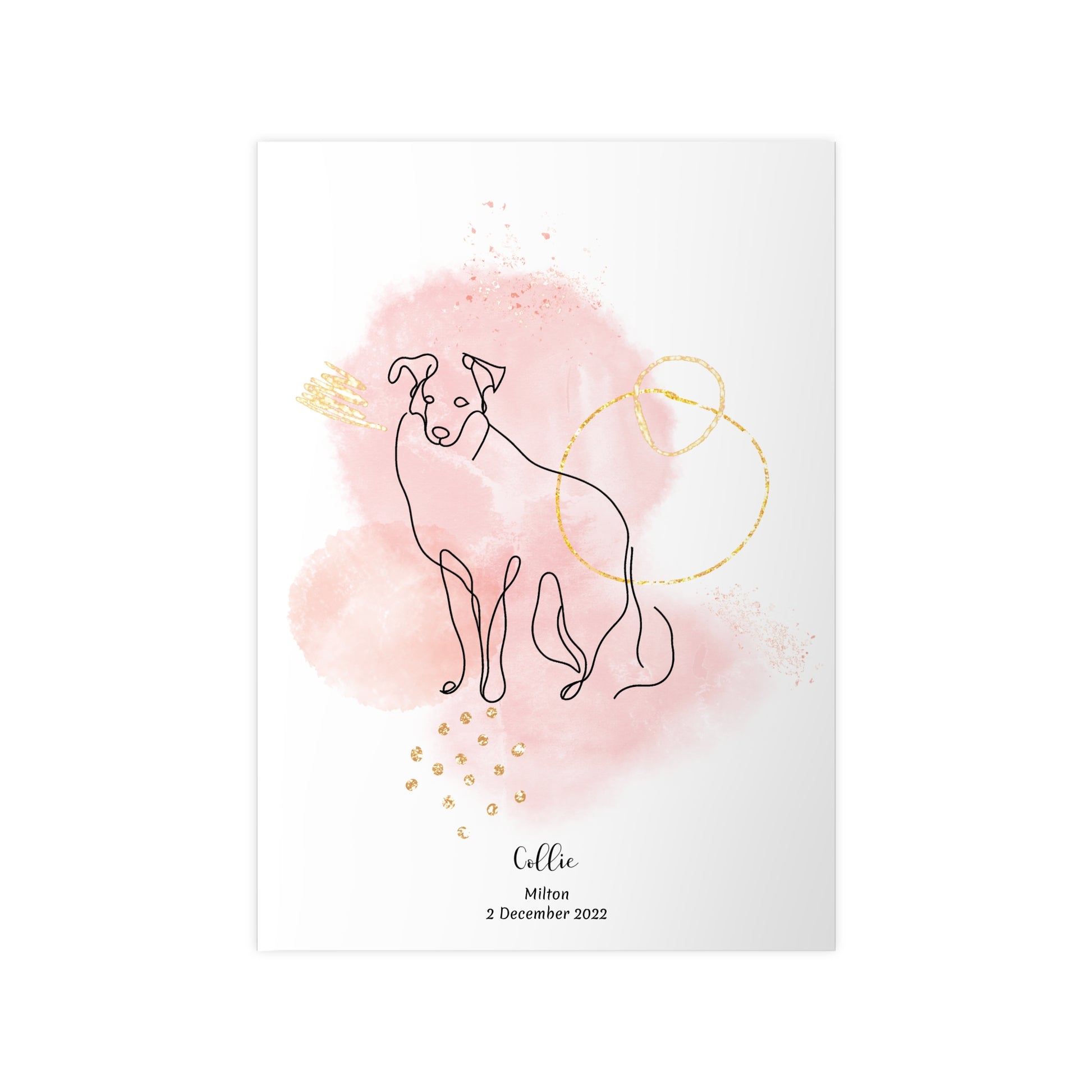 Minimalistisk rosa poster med Collie, personlig design från Colorful Pets.