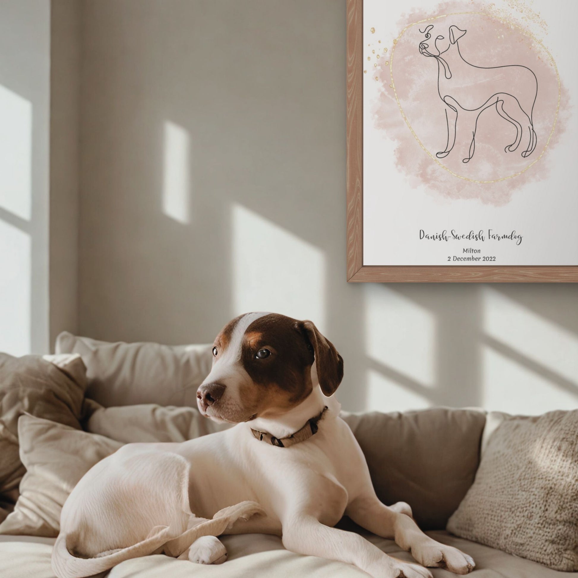 Minimalistisk beige poster med dansk-svensk gårdshund och en charmig dansk-svensk gårdshund bredvid, design från Colorful Pets.