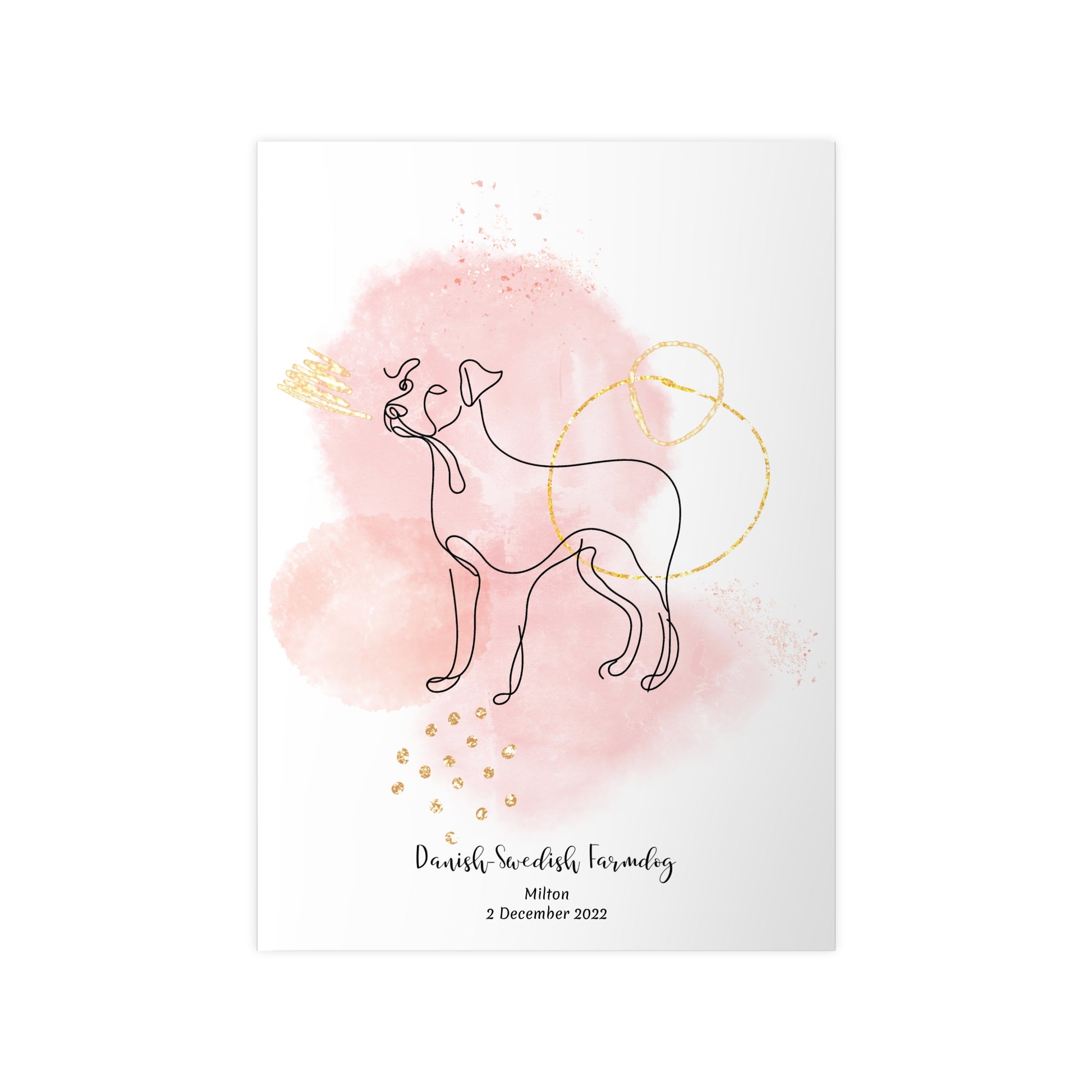Minimalistisk rosa poster med Dansk-Svensk Gårdshund, personlig design från Colorful Pets.