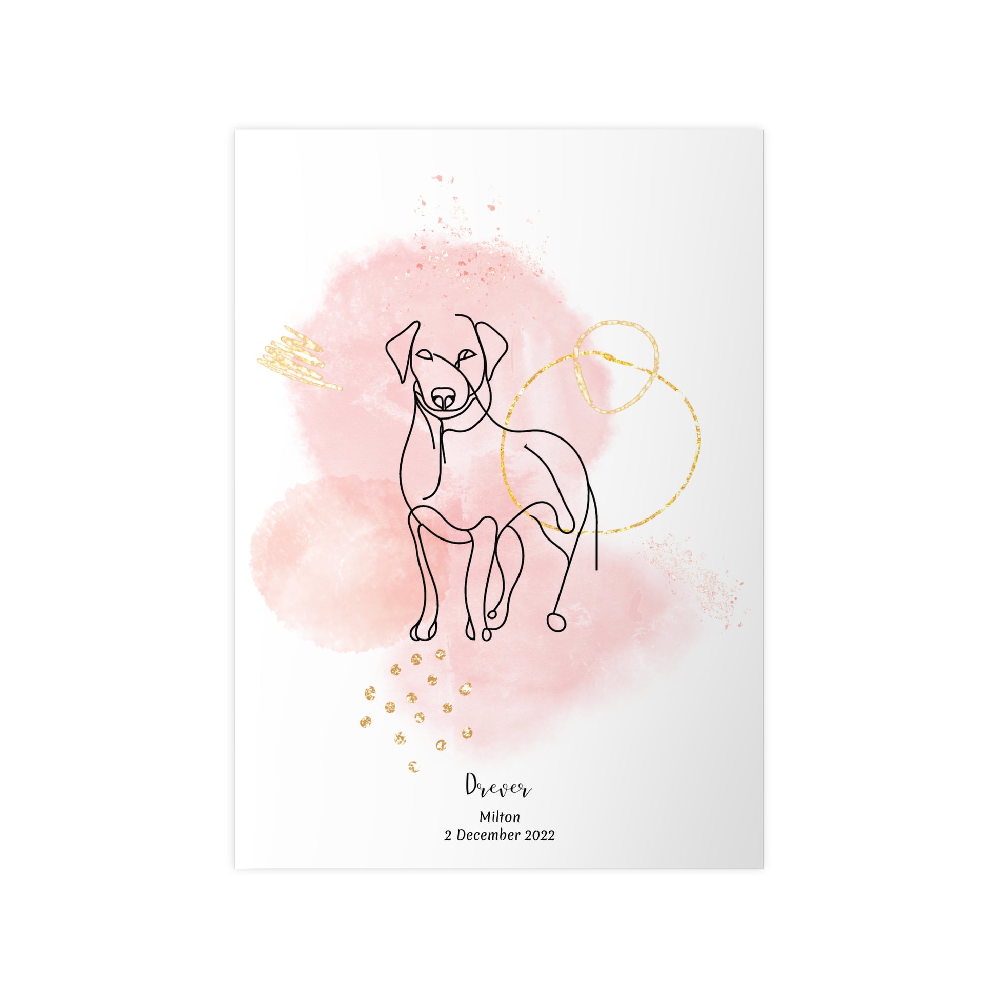 Minimalistisk rosa poster med Drever, personlig design från Colorful Pets.