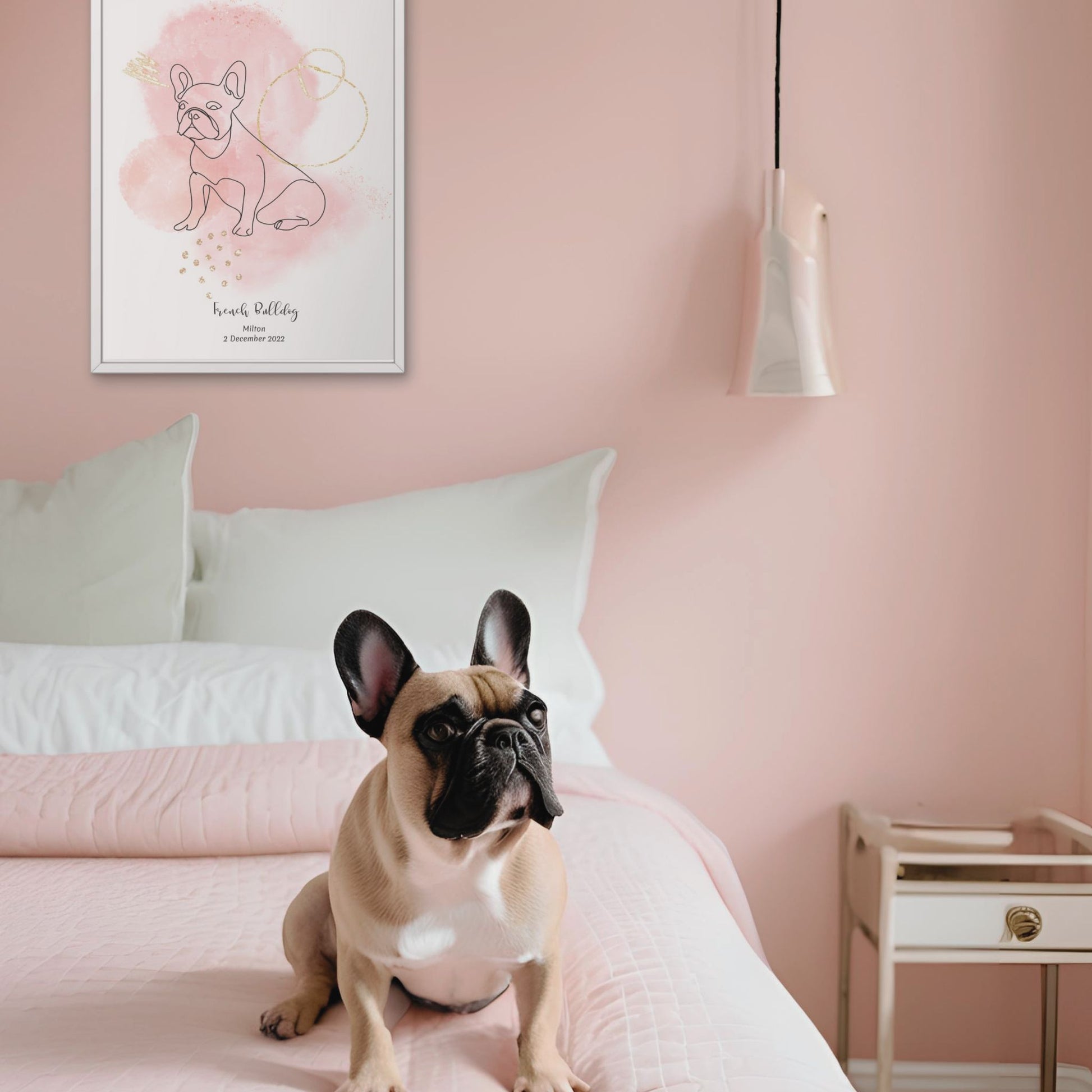 fransk-bulldog-hund-rosa-poster.jpg