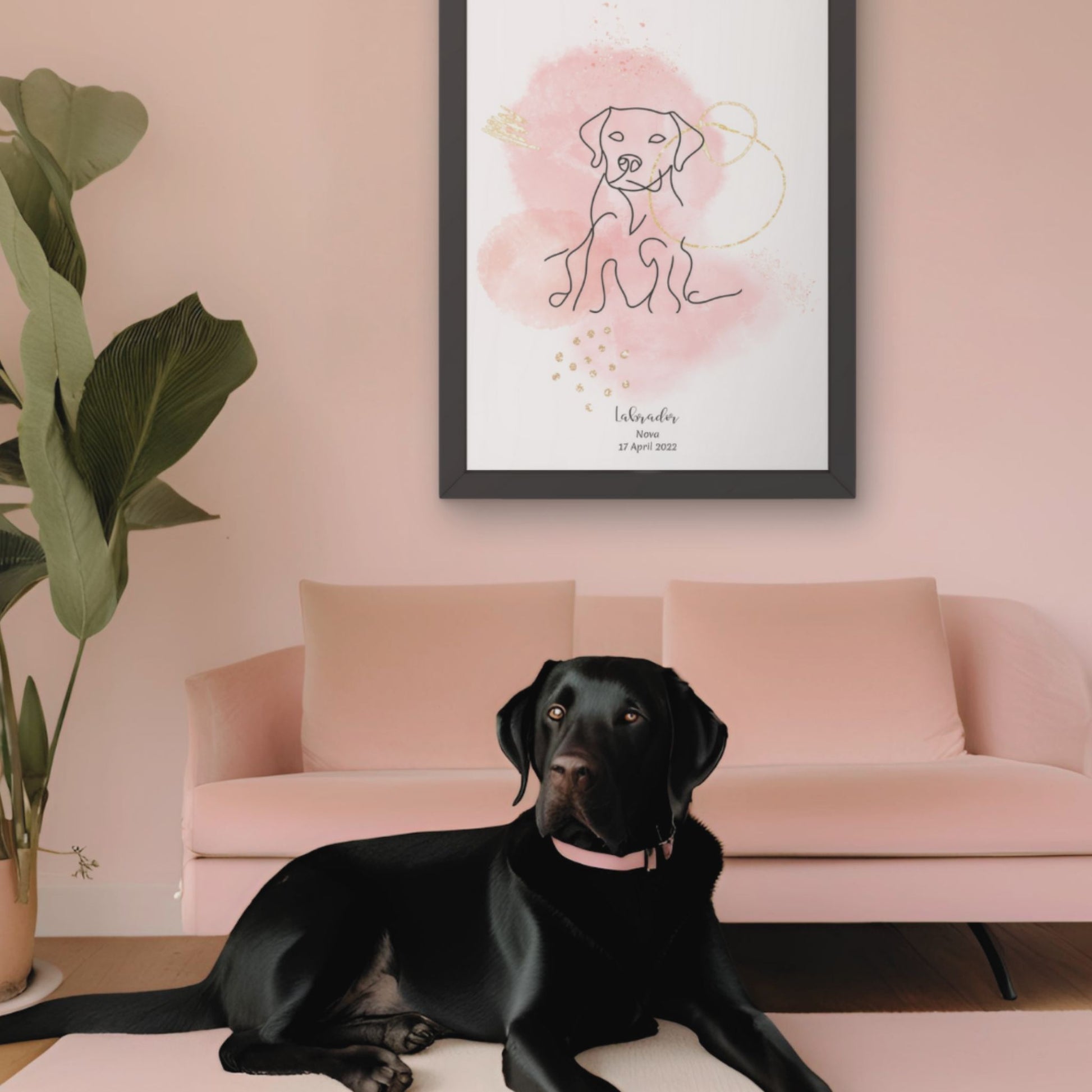 Minimalistisk rosa poster med Labrador och en söt Labrador-hund bredvid, design från Colorful Pets.