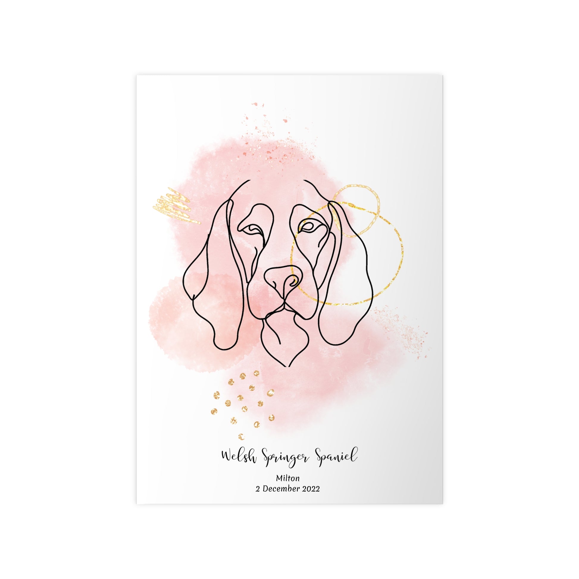 Minimalistisk rosa poster med Welsh Springer Spaniel, personlig design från Colorful Pets.